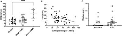 An Investigation Into the Role of Osteocalcin in Human Arterial Smooth Muscle Cell Calcification